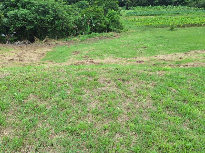 Bo Robles Carr 447 Km 4 Hm 6 Solar 8 San Sebastian 00685 PR