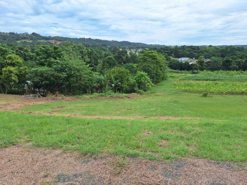 Bo Robles Carr 447 Km 4 Hm 6 Solar 8 San Sebastian 00685 PR