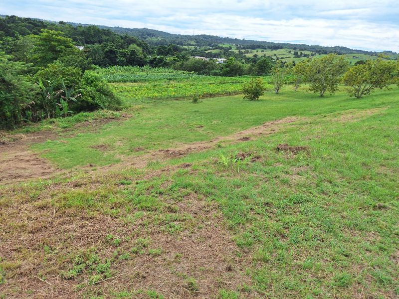 Bo Robles Carr 447 Km 4 Hm 6 Solar 8 San Sebastian 00685 PR