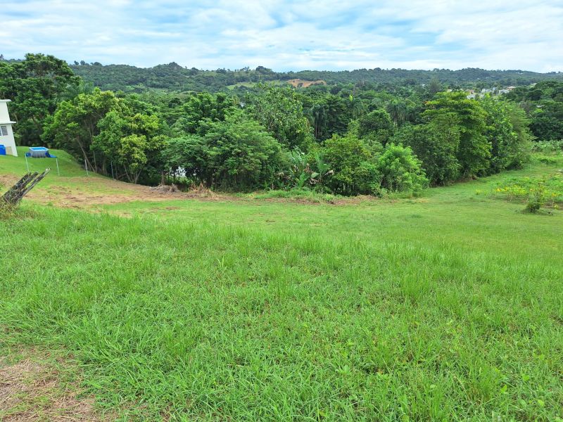 Bo Robles Carr 447 Km 4 Hm 6 Solar 8 San Sebastian 00685 PR