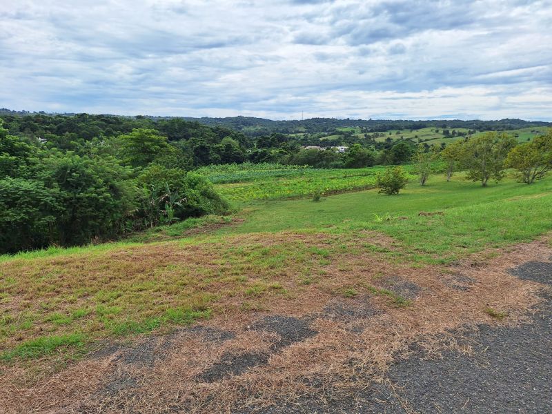 Bo Robles Carr 447 Km 4 Hm 6 Solar 8 San Sebastian 00685 PR