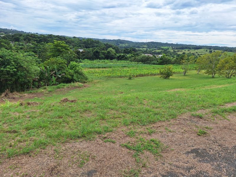 Bo Robles Carr 447 Km 4 Hm 6 Solar 8 San Sebastian 00685 PR