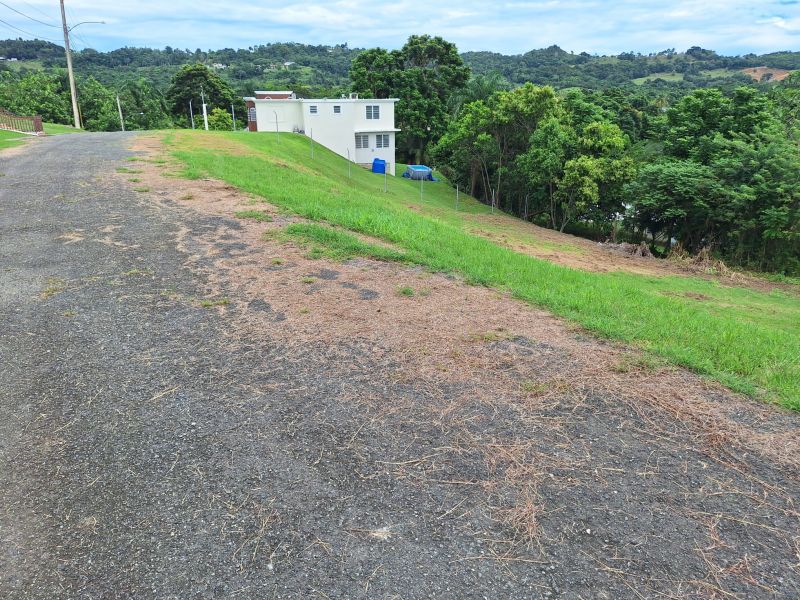 Bo Robles Carr 447 Km 4 Hm 6 Solar 8 San Sebastian 00685 PR