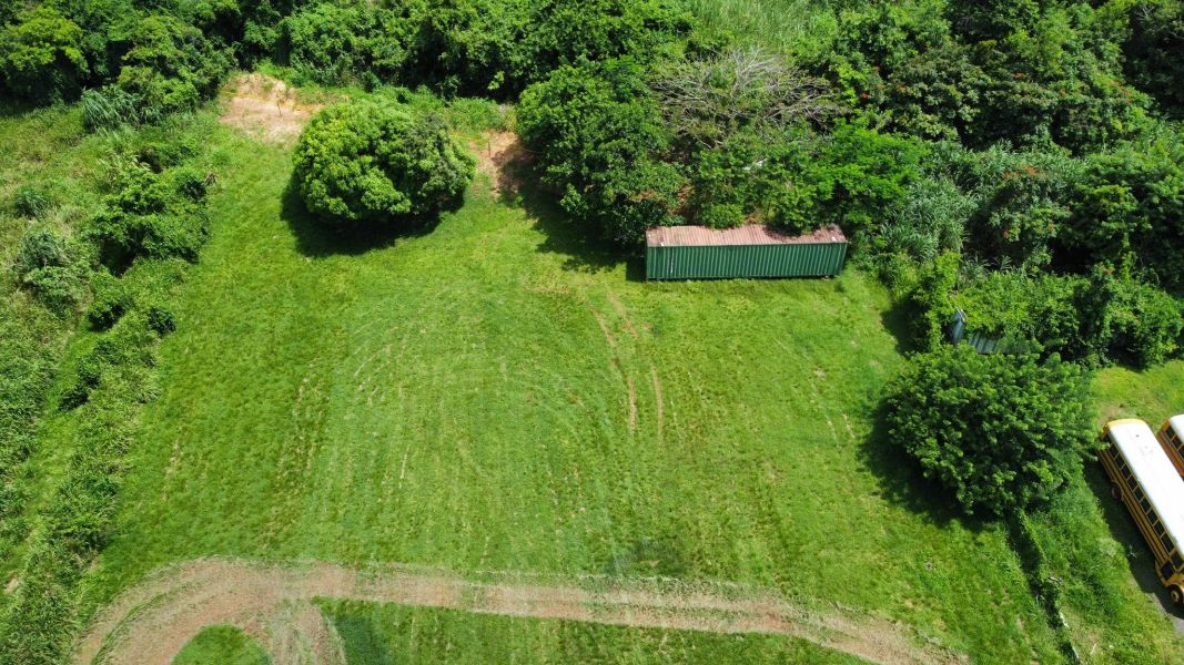 Carr 490 Bo Hato Arriba Arecibo 00612 PR