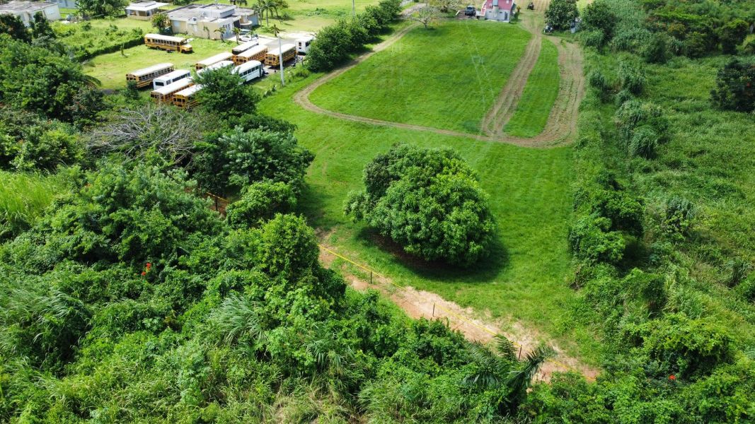 Carr 490 Bo Hato Arriba Arecibo 00612 PR