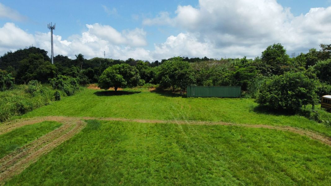 Carr 490 Bo Hato Arriba Arecibo 00612 PR