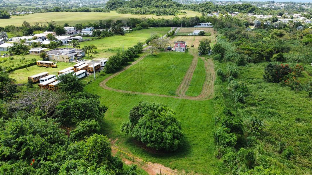 Carr 490 Bo Hato Arriba Arecibo 00612 PR