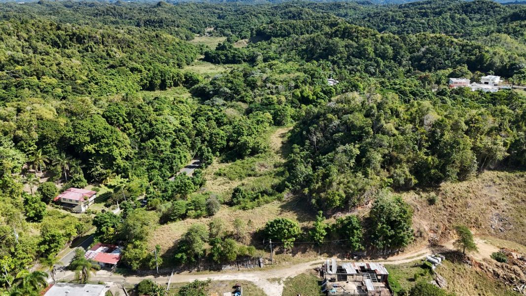 Bo Florida Adentro Carr 641 Km 4.0 Florida 00650 PR