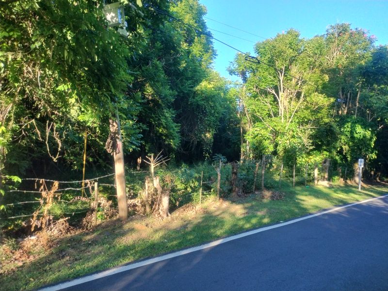 Bo Florida Adentro Carr 641 Km 4.0 Florida 00650 PR