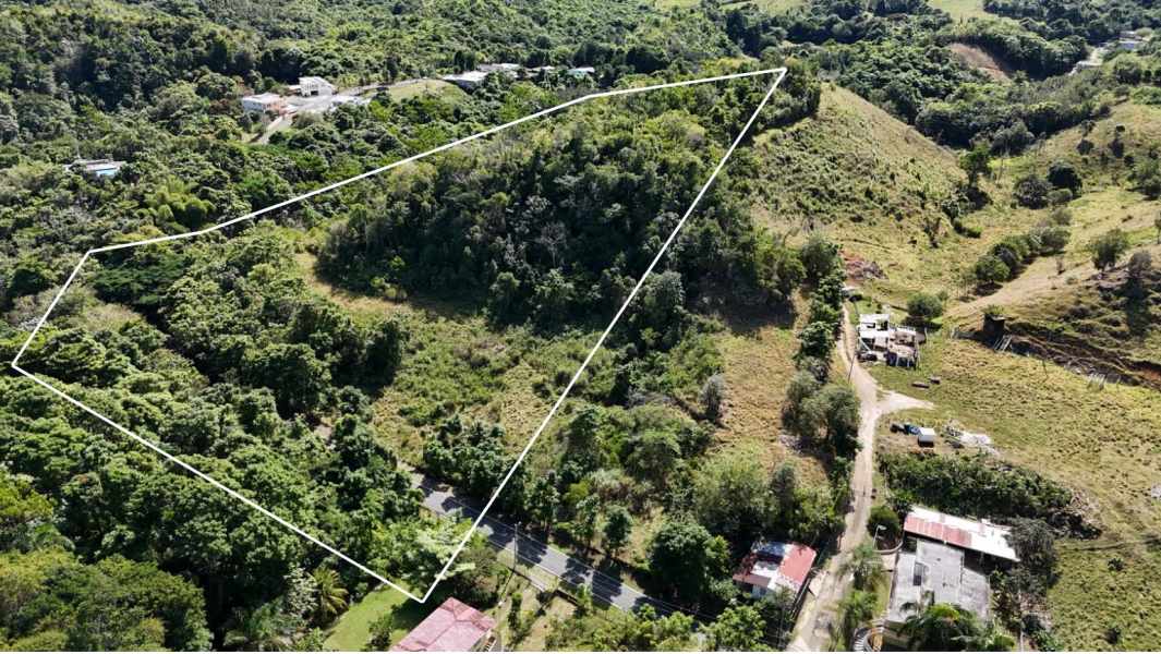 Bo Florida Adentro Carr 641 Km 4.0 Florida 00650 PR