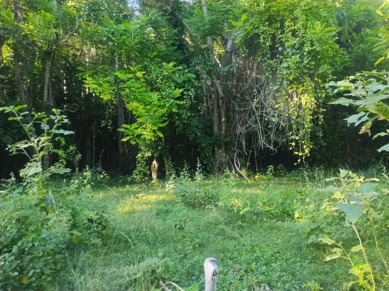 Bo Florida Adentro Carr 641 Km 4.0 Florida 00650 PR