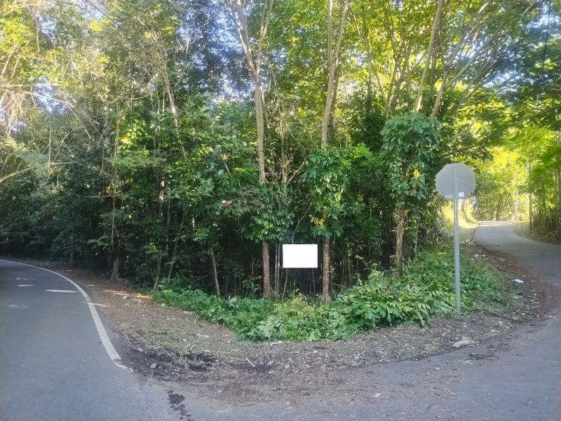 Bo Florida Adentro Carr 641 Km 4.0 Florida 00650 PR