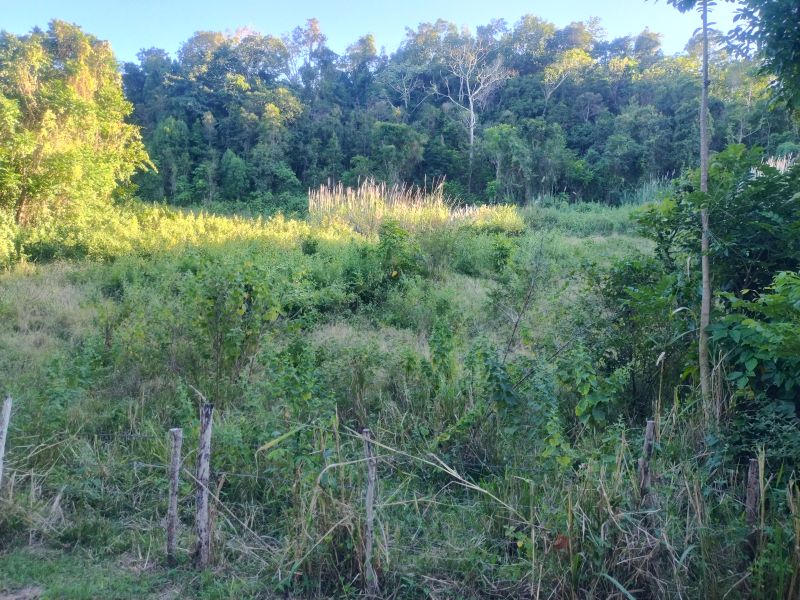 Bo Florida Adentro Carr 641 Km 4.0 Florida 00650 PR