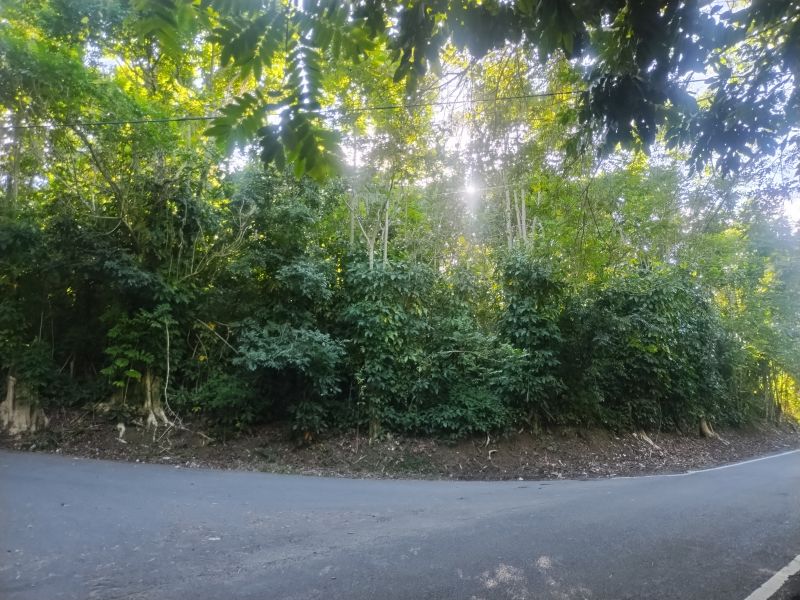 Bo Florida Adentro Carr 641 Km 4.0 Florida 00650 PR