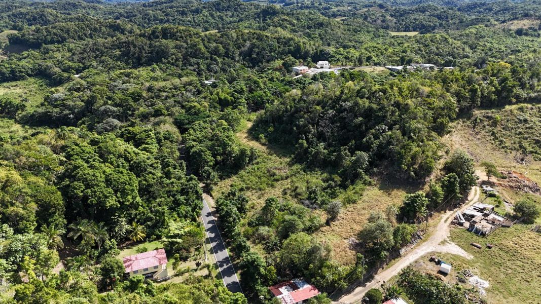 Bo Florida Adentro Carr 641 Km 4.0 Florida 00650 PR