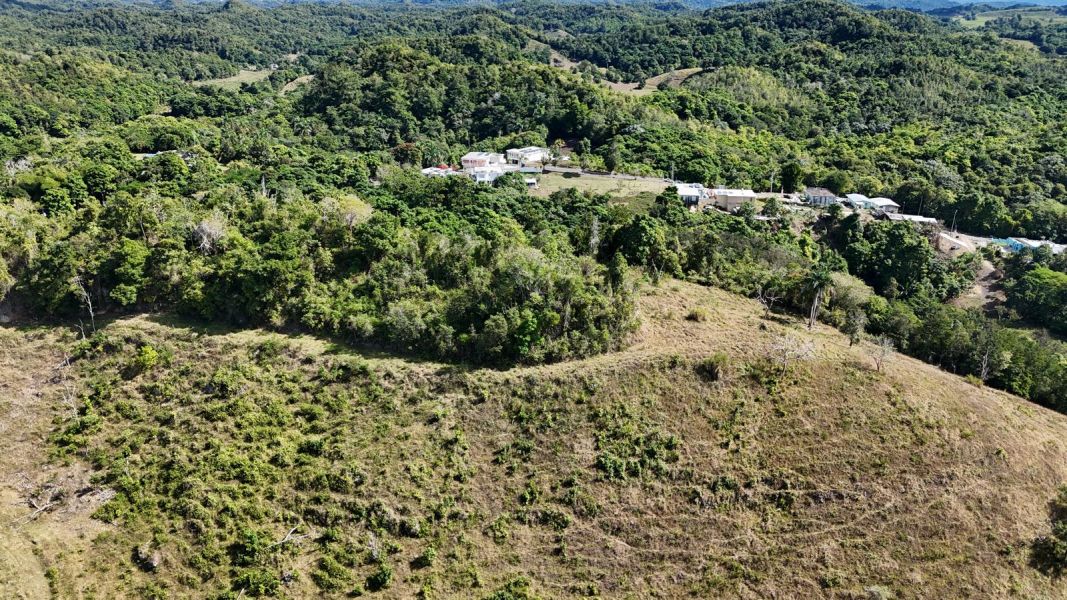 Bo Florida Adentro Carr 641 Km 4.0 Florida 00650 PR