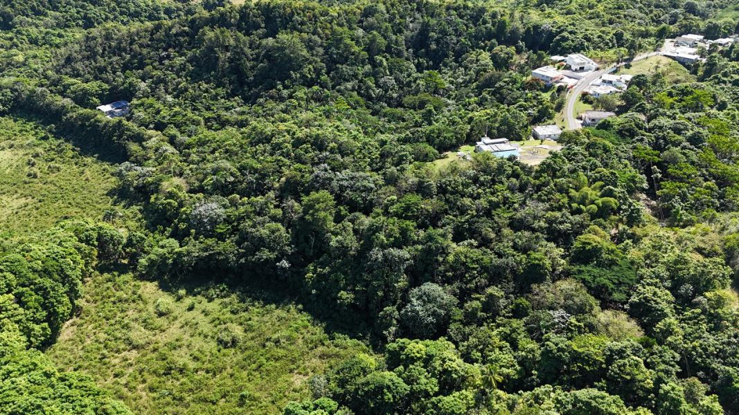 Bo Florida Adentro Carr 641 Km 4.0 Florida 00650 PR