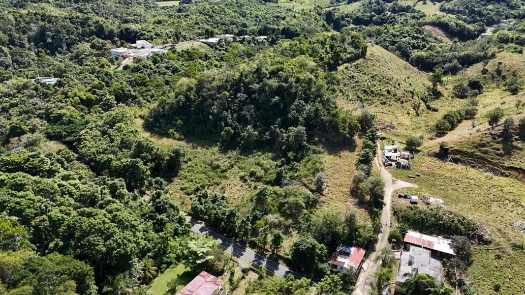 Bo Florida Adentro Carr 641 Km 4.0 Florida 00650 PR