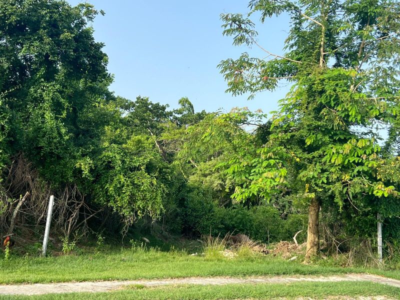 Carr 300 Sector Villa Celenia Interior Bo Llanos T Cabo Rojo 00623 PR