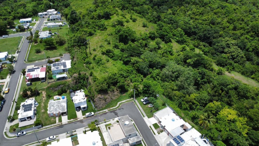 Carr 300 Sector Villa Celenia Interior Bo Llanos T Cabo Rojo 00623 PR