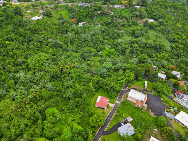 Carr 174 Km 8.12 Sector Mulero Camacho Bo Guaragua Bayamon 00956 PR