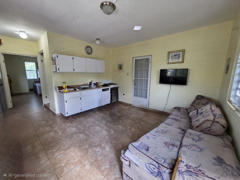 Bo Pugnado 3st #84 Sector Pinzon Manati 00674 PR