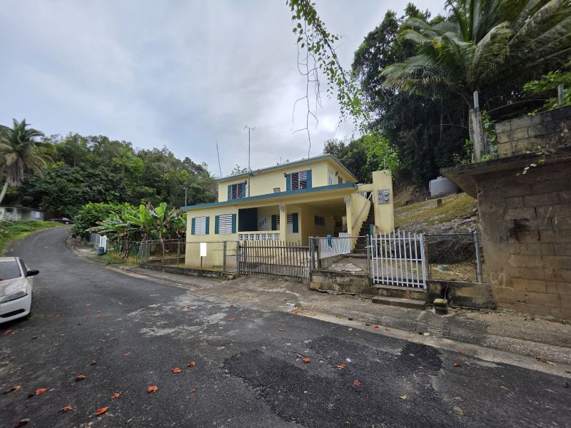 Bo Pugnado 3st #84 Sector Pinzon Manati 00674 PR