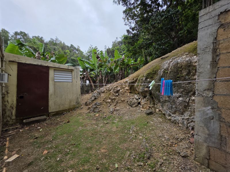 Bo Pugnado 3st #84 Sector Pinzon Manati 00674 PR