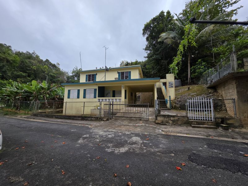 Bo Pugnado 3st #84 Sector Pinzon Manati 00674 PR
