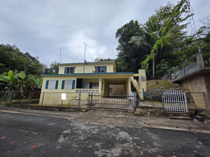 Bo Pugnado 3st #84 Sector Pinzon Manati 00674 PR