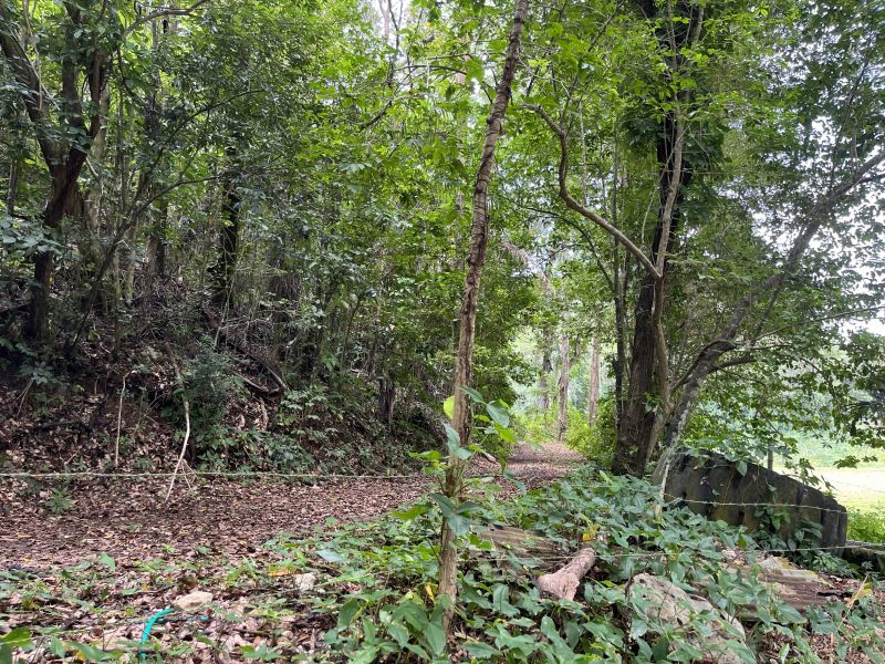 Pr 673 Km 1.0 Int Bo Pugnado Afuera Vega Baja 00693 PR