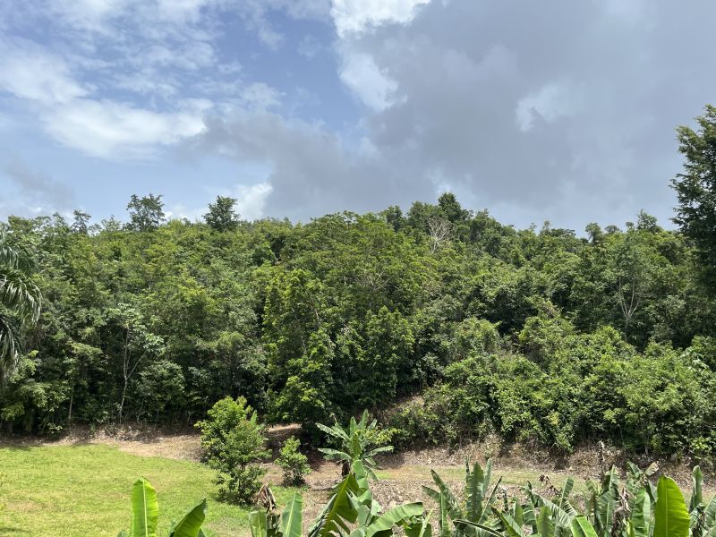 Pr 673 Km 1.0 Int Bo Pugnado Afuera Vega Baja 00693 PR