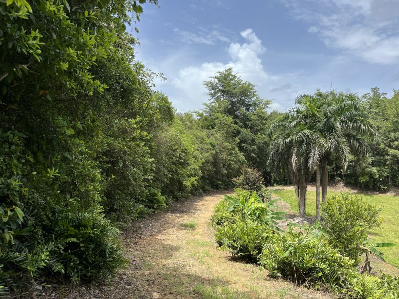 Pr 673 Km 1.0 Int Bo Pugnado Afuera Vega Baja 00693 PR