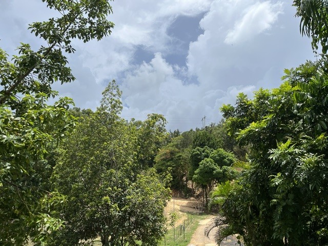 Pr 673 Km 1.0 Int Bo Pugnado Afuera Vega Baja 00693 PR