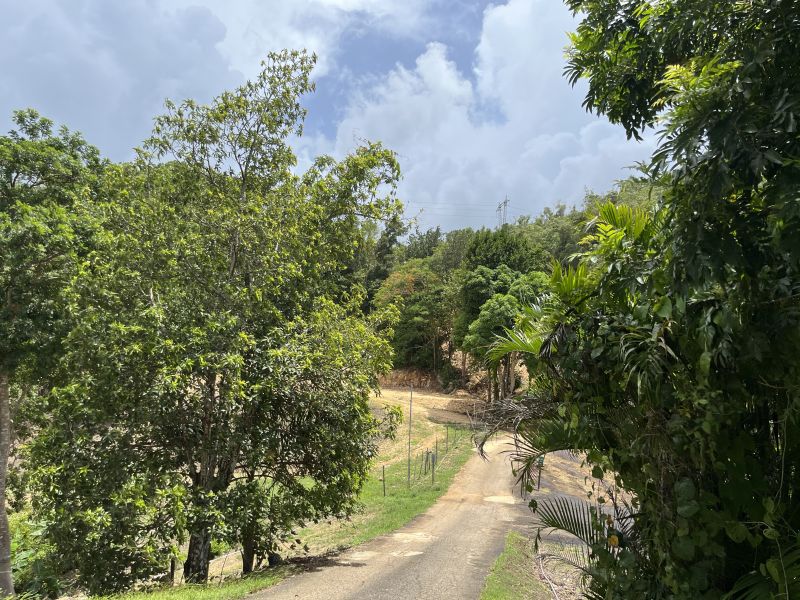 Pr 673 Km 1.0 Int Bo Pugnado Afuera Vega Baja 00693 PR