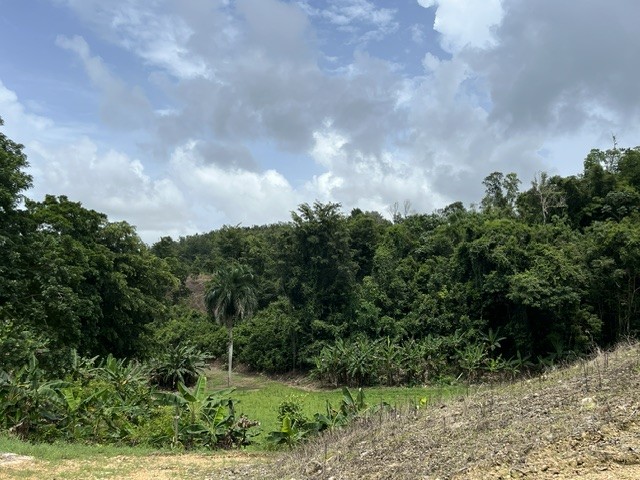 Pr 673 Km 1.0 Int Bo Pugnado Afuera Vega Baja 00693 PR