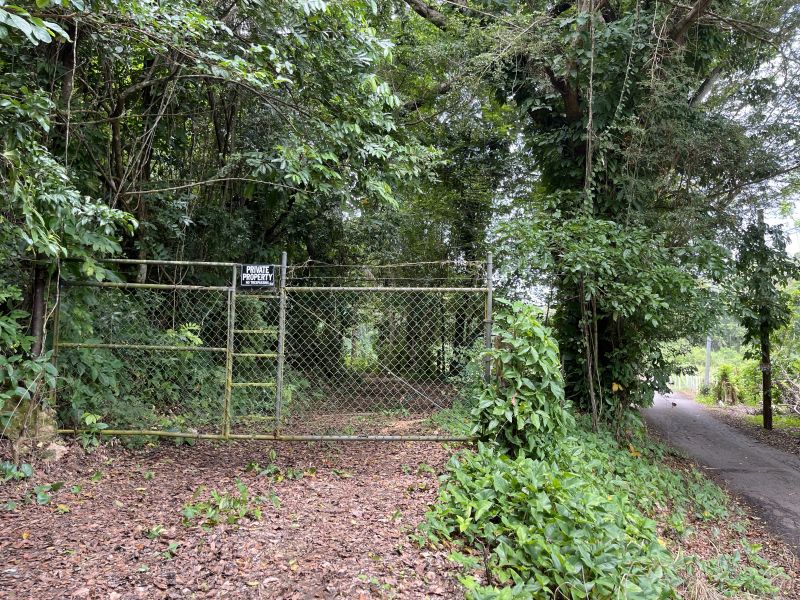 Pr 673 Km 1.0 Int Bo Pugnado Afuera Vega Baja 00693 PR