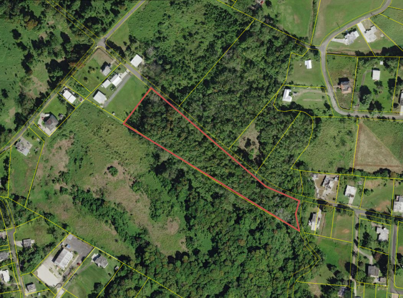 Carr 634 Km 5.1 Bo Franquez Morovis 00687 PR