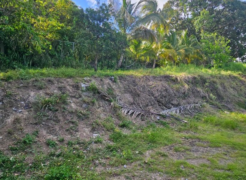 Carr 102 Km 22 Bo Monte Grande Cabo Rojo 00623 PR