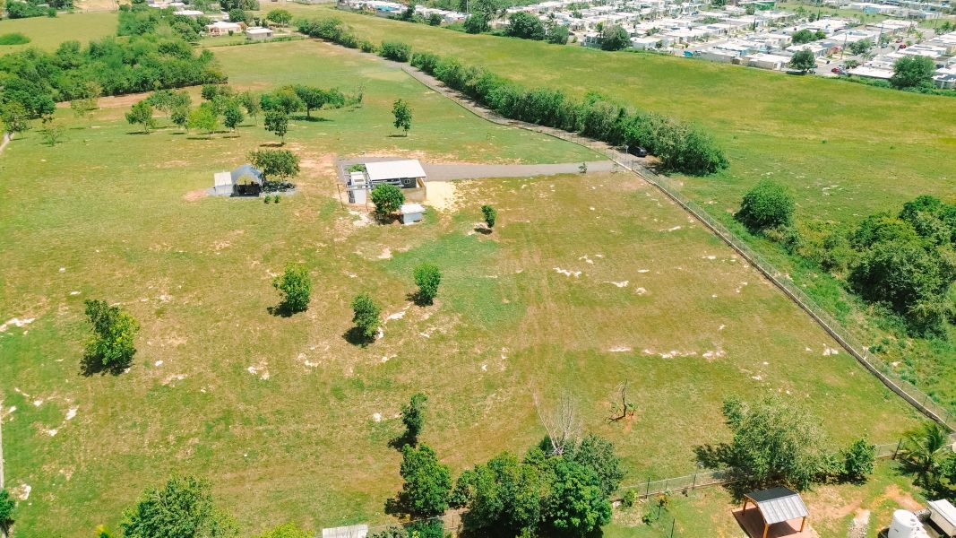 Carr 459 Int Bo Arenales Solar 7, Aguadilla - 10