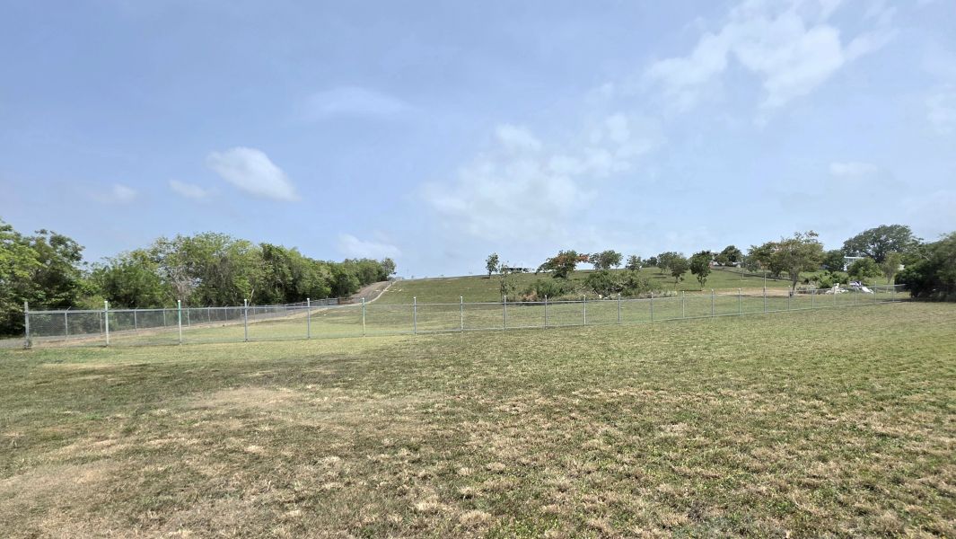 Carr 459 Int Bo Arenales Solar 7, Aguadilla - 11