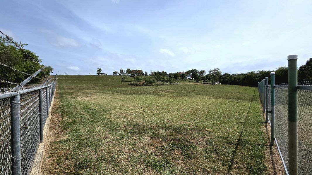 Carr 459 Int Bo Arenales Solar 7, Aguadilla - 19