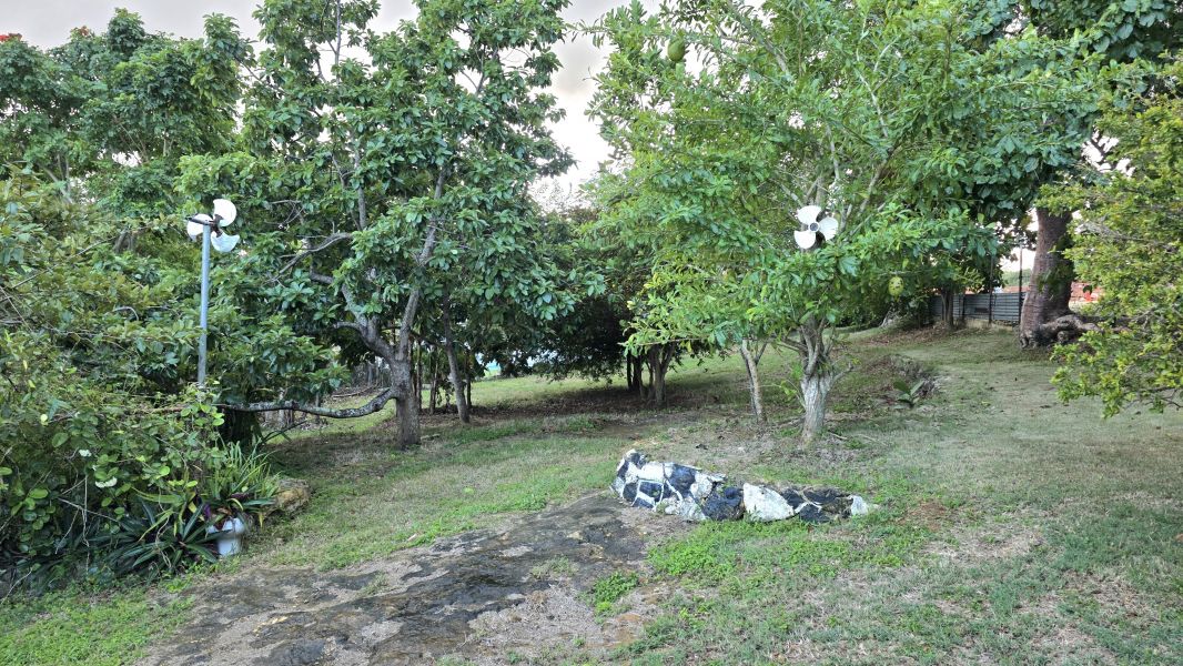 926 Bo Guerrero Calle Mexico Isabela 00662 PR