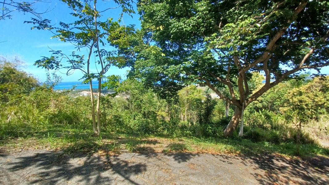 Urb Las Coles Carr 968 Km 1.5 Lot 1 Rio Grande 00721 PR