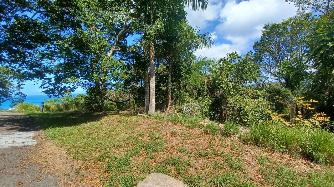 Urb Las Coles Carr 968 Km 1.5 Lot 1 Rio Grande 00721 PR