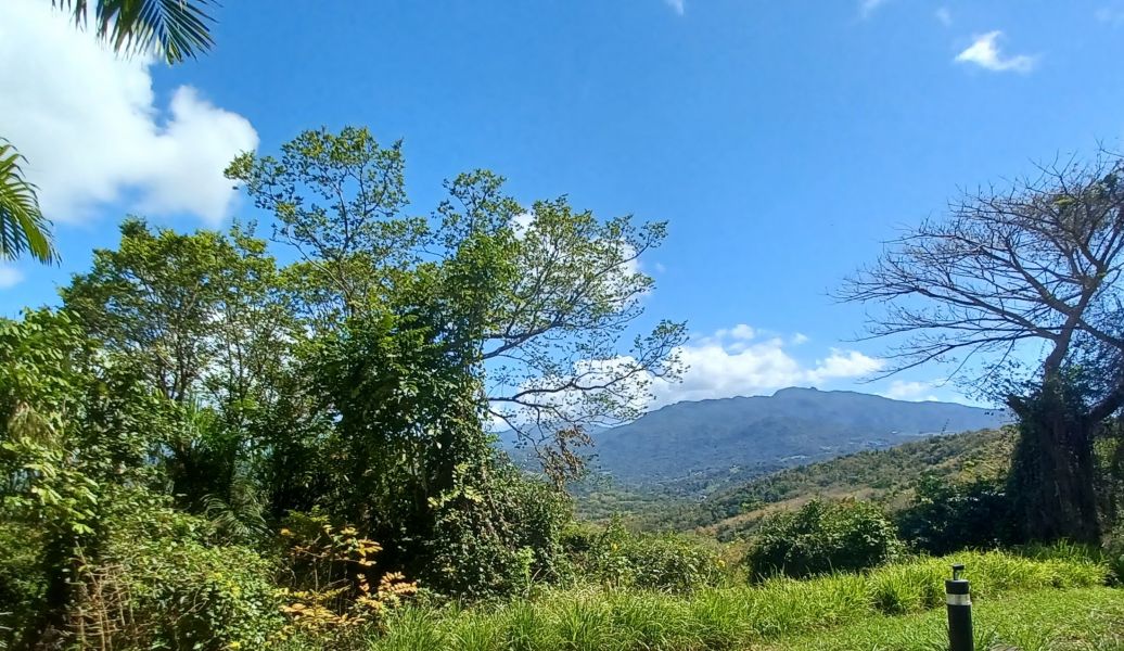 Urb Las Coles Carr 968 Km 1.5 Lot 1 Rio Grande 00721 PR