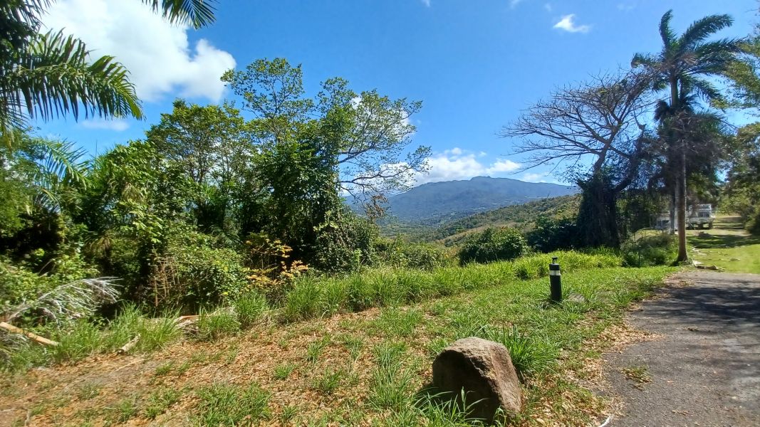 Urb Las Coles Carr 968 Km 1.5 Lot 1 Rio Grande 00721 PR