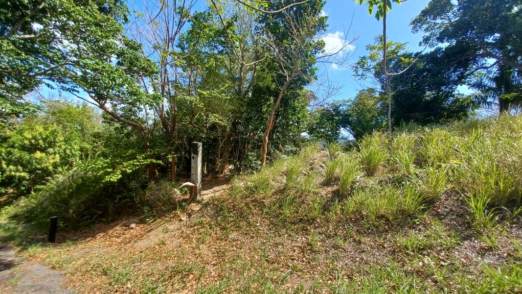 Urb Las Coles Carr 968 Km 1.5 Lot 1 Rio Grande 00721 PR