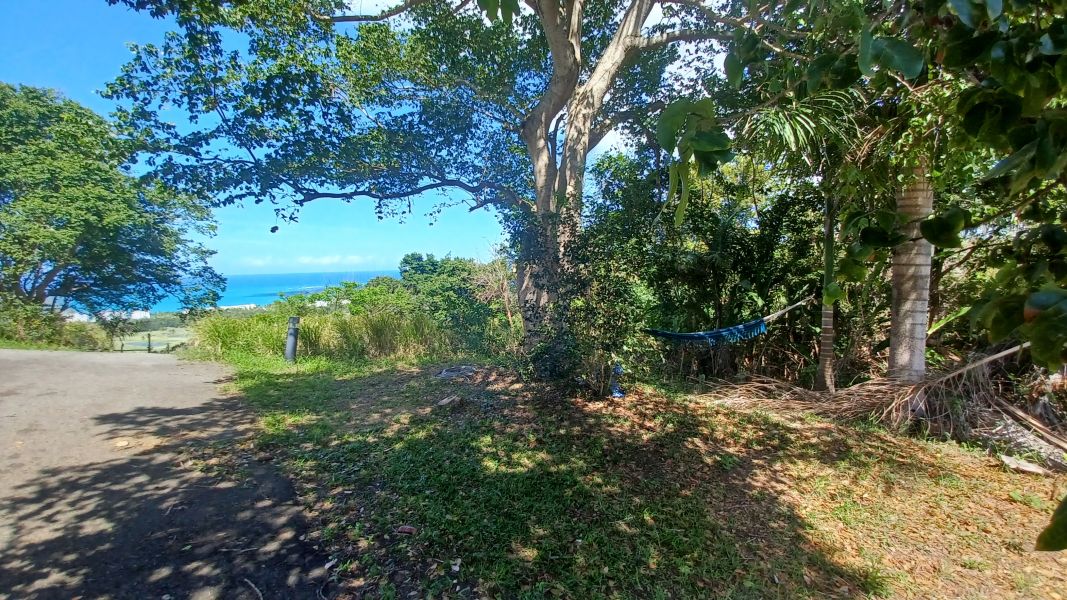 Urb Las Coles Carr 968 Km 1.5 Lot 1 Rio Grande 00721 PR