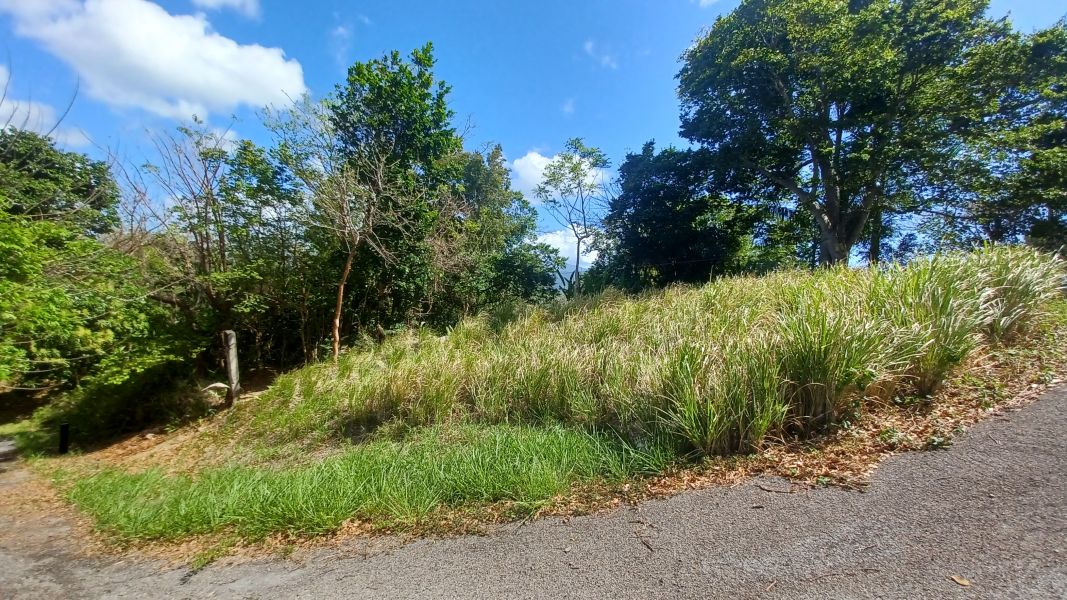 Urb Las Coles Carr 968 Km 1.5 Lot 1 Rio Grande 00721 PR